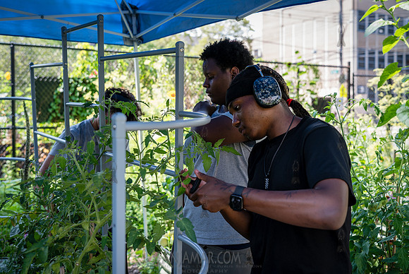 CPF Learn - Learning Gardens - Abib Newborn - NYC - 2026