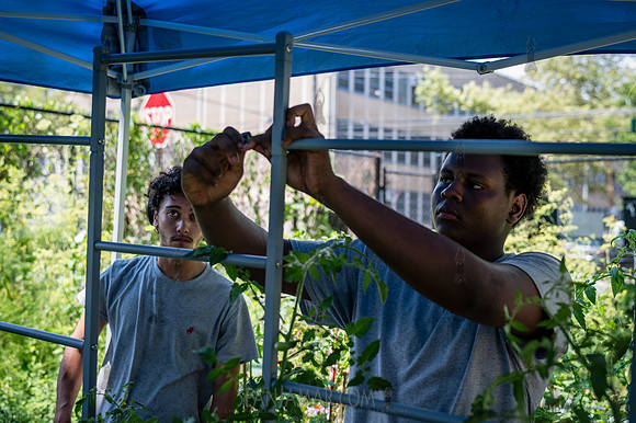 CPF Learn - Learning Gardens - Abib Newborn - NYC - 2026