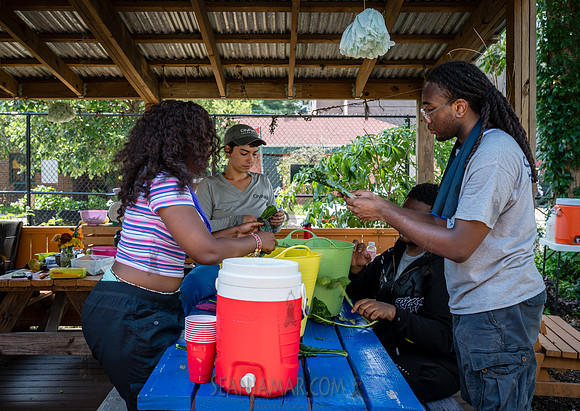 CPF Learn - Learning Gardens - Abib Newborn - NYC - 2026