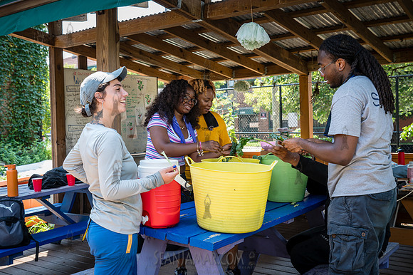CPF Learn - Learning Gardens - Abib Newborn - NYC - 2026