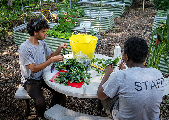CPF Learn - Learning Gardens - Abib Newborn - NYC - 2026