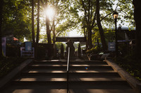 NYC SummerStage - Andrew Bird - Rumsey Playfield - NYC - 2026