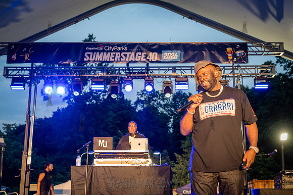 Funk Flex - NYC SummerStage - Funk Flex Birthday Fest - Snug Har