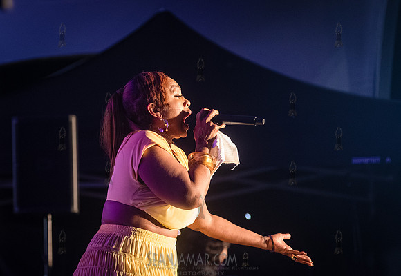 Sunshine Anderson - NYC SummerStage - Funk Flex Birthday Fest -