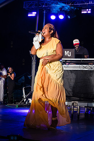 Sunshine Anderson - NYC SummerStage - Funk Flex Birthday Fest -