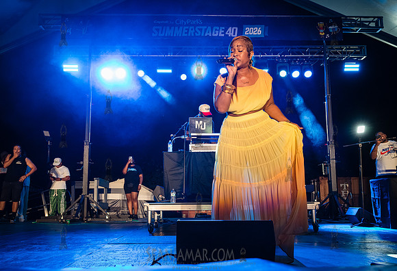 Sunshine Anderson - NYC SummerStage - Funk Flex Birthday Fest -