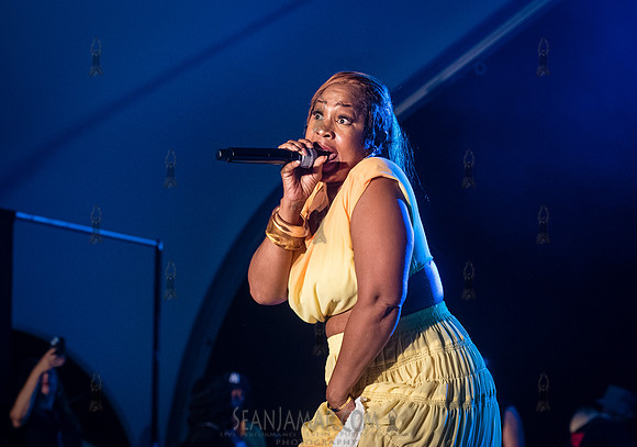 Sunshine Anderson - NYC SummerStage - Funk Flex Birthday Fest -