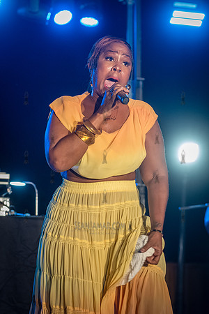 Sunshine Anderson - NYC SummerStage - Funk Flex Birthday Fest -