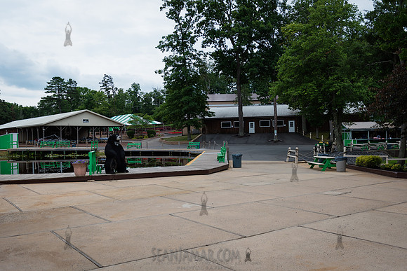 ARUP Company Picnic - Black Bear Lake - Millstone Township NJ -