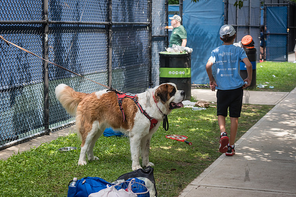 CPF Play - Gainbridge + Billy Jean King Clinic - Flushing Meadow