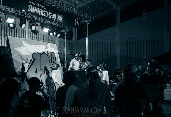 NYC SummerStage - Ted Smooth 40th Anniversary Old School Jam - M