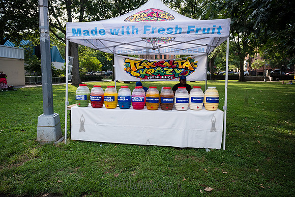 NYC SummerStage - The Soapbox Presents: Run It Back, The Art of