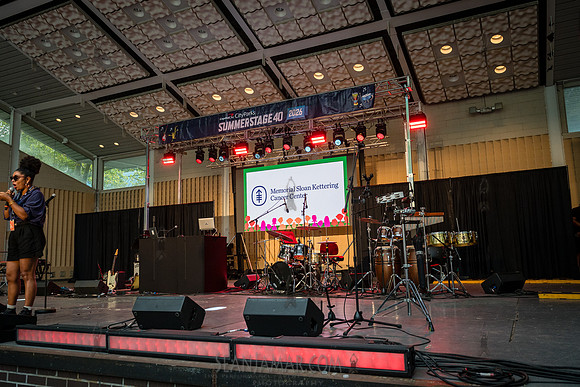 NYC SummerStage - The Soapbox Presents: Run It Back, The Art of