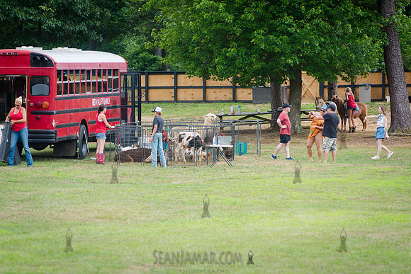 ARUP Company Picnic - Black Bear Lake - Millstone Township NJ -