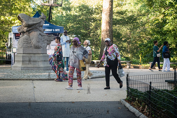 NYC SummerStage - Angelique Kidjo - Rumsey Playfield - NYC - 202