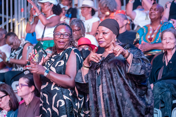 NYC SummerStage - Angelique Kidjo - Rumsey Playfield - NYC - 202