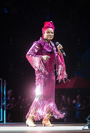 NYC SummerStage - Angelique Kidjo - Rumsey Playfield - NYC - 202