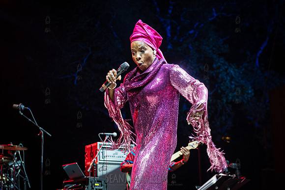 NYC SummerStage - Angelique Kidjo - Rumsey Playfield - NYC - 202