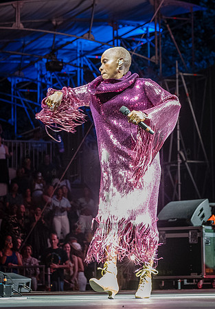NYC SummerStage - Angelique Kidjo - Rumsey Playfield - NYC - 202