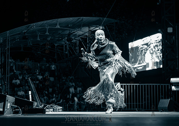 NYC SummerStage - Angelique Kidjo - Rumsey Playfield - NYC - 202