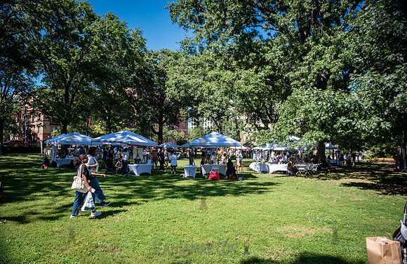 NYC SummerStage - CPJF - Joshua Redman - Marcus Garvey Park - NY