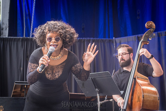 NYC SummerStage - CPJF - Ravi Coltrane - Tomkins Square Park - N