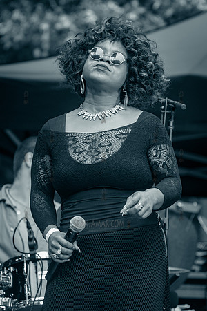 Vanisha Gould - NYC SummerStage - CPJF - Ravi Coltrane - Tomkins