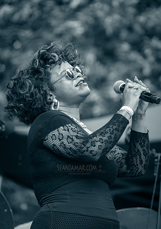 Vanisha Gould - NYC SummerStage - CPJF - Ravi Coltrane - Tomkins