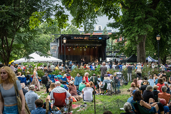 Vanisha Gould - NYC SummerStage - CPJF - Ravi Coltrane - Tomkins