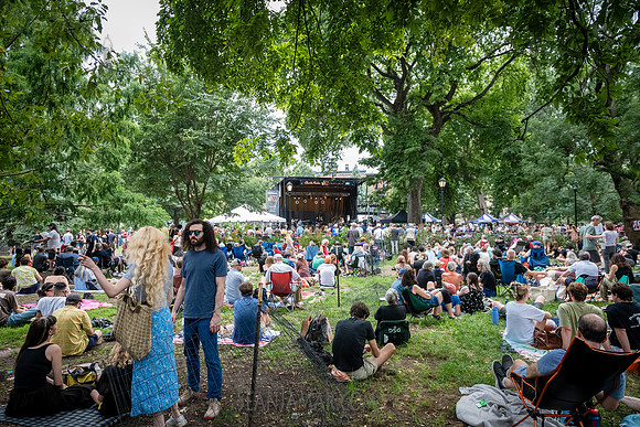 Vanisha Gould - NYC SummerStage - CPJF - Ravi Coltrane - Tomkins