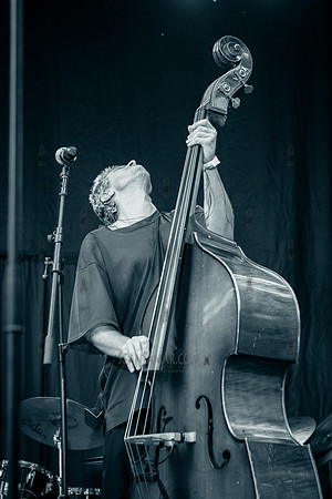 Kassa Overall - NYC SummerStage - CPJF - Ravi Coltrane - Tomkins