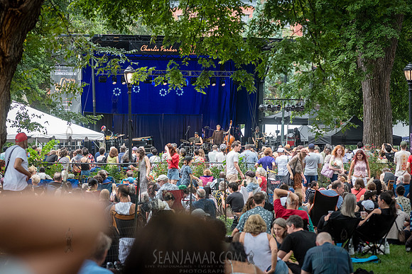 Kassa Overall - NYC SummerStage - CPJF - Ravi Coltrane - Tomkins