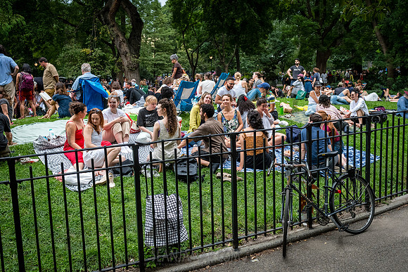 NYC SummerStage - CPJF - Ravi Coltrane - Tomkins Square Park - N