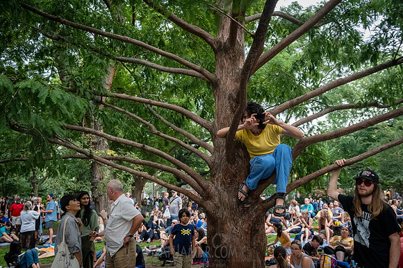NYC SummerStage - CPJF - Ravi Coltrane - Tomkins Square Park - N
