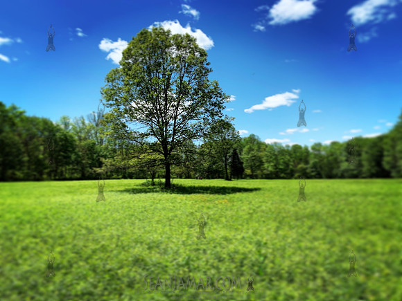 Schooleys Mountain County Park
