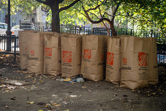 CPF Partnership For Parks - North Brooklyn Parks Alliance Garden