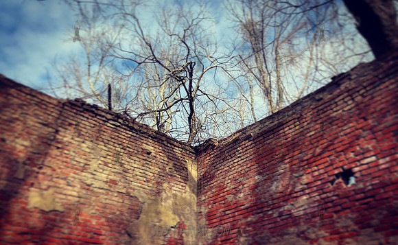 Ramapo Valley County Reservation