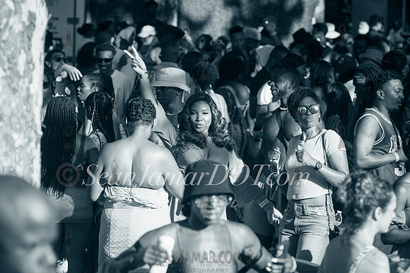 Faces in the Crowd