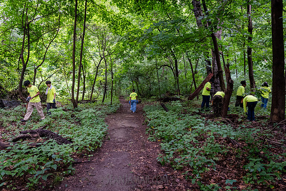 NYC Green Fund - Van Cortlandt Park Alliance Intern Training - V