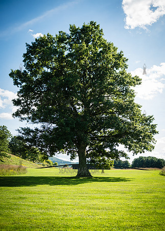 Storm King Art Center - 2026
