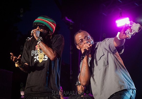 CPF SummerStage - Chuck Chillout 40th Radio Anniv - Crotona Park