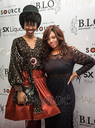 BLO Restaurant Lounge - Grand Opening - NYC - 2015