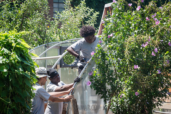 CPF Learning Gardens - Abib Newborn - NYC -2025