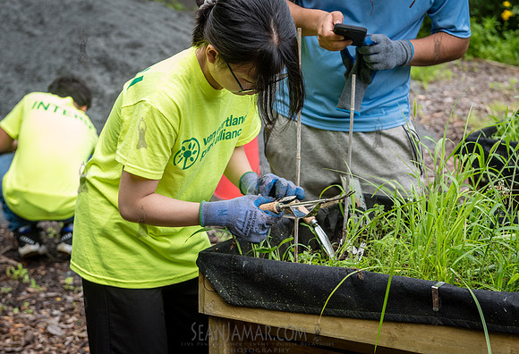 NYC Green Fund - Van Cortlandt Park Alliance Intern Training - V