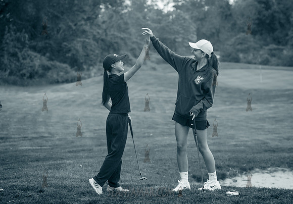 Sporting Events - Competition, Clinics, Fitness, Family Fun