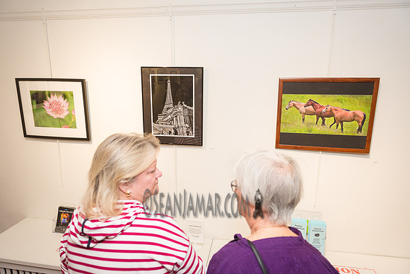 TCC - Through Our Eyes - Sandy Bennett Art Gallery - Bergen PAC - Englewood NJ - 2018