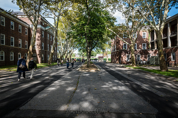 TGI - Climate Solutions Showcase - Governors Island - NYC - 2026