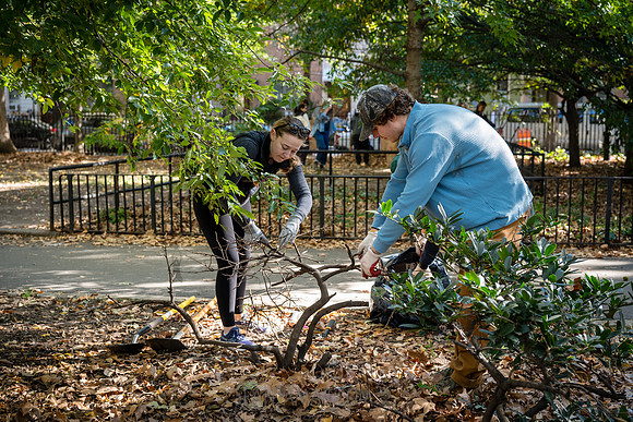 CPF Partnership For Parks - North Brooklyn Parks Alliance Garden