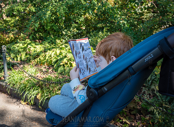 CPF Green Fund - NYC Bird Alliance Accessible Birding - Ft Tryon
