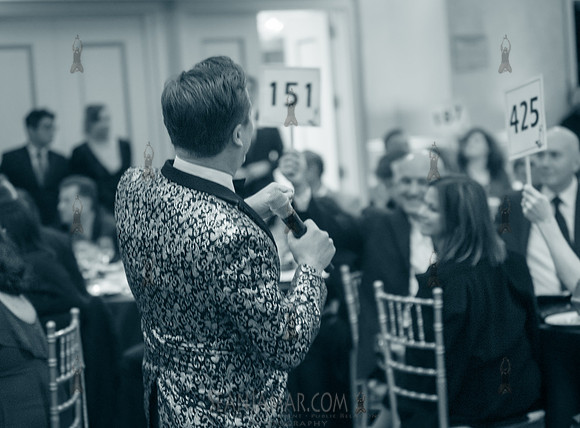 Fundraisers - Gala, Luncheon, _______-a-thons